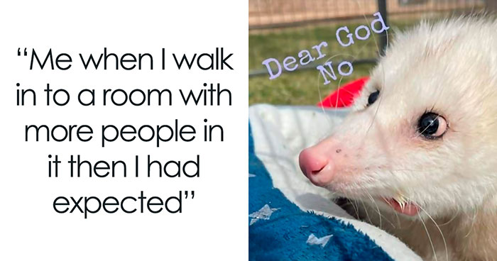 50 Introvert Memes By This Instagram Page Dedicated To Those Who Want Some Peace And Quiet