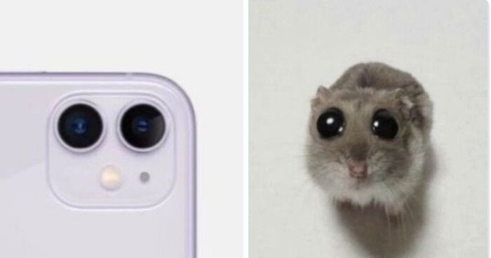 Apple Just Launched iPhone 16 And Here Are 31 Of The Best Reactions To It By People Online