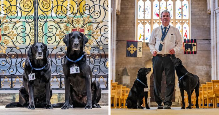 These Dogs Were Allowed To Come In Temporarily, But Ended Up Staying As Staff At Tewkesbury Abbey