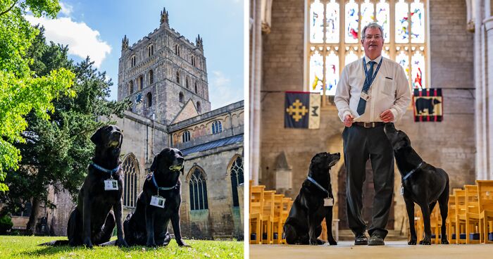 These Dogs Were Allowed To Come In Temporarily, But Ended Up Staying As Staff At Tewkesbury Abbey