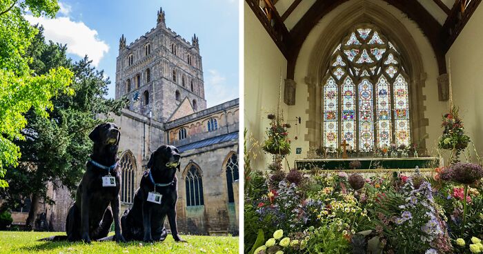 These Dogs Were Allowed To Come In Temporarily, But Ended Up Staying As Staff At Tewkesbury Abbey