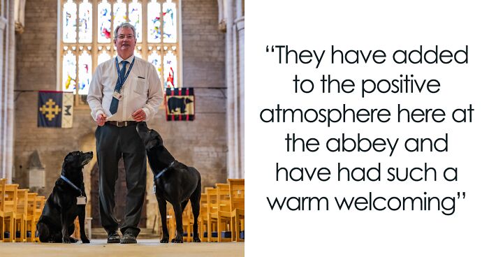 These Two Labradors Assist At 900-Year-Old Tewkesbury Abbey And People Absolutely Love Them