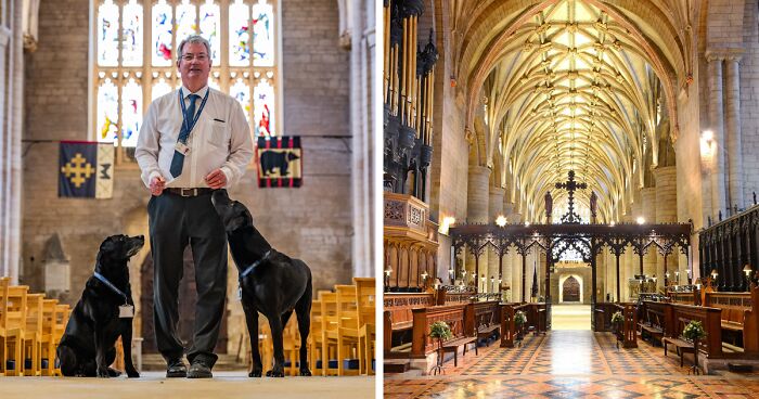 Meet Labradors Eric And Florence, Who Became Official Staff Members At An Historic English Abbey