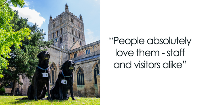 These Dogs Were Allowed To Come In Temporarily, But Ended Up Staying As Staff At Tewkesbury Abbey