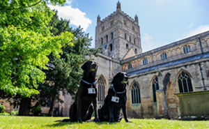 These Dogs Were Allowed To Come In Temporarily, But Ended Up Staying As Staff At Tewkesbury Abbey