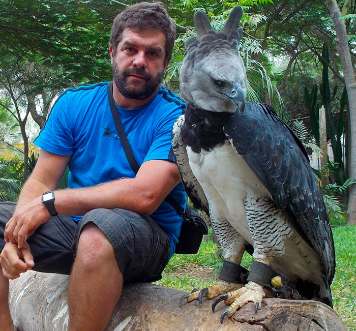 This Beautiful Harpy Eagle