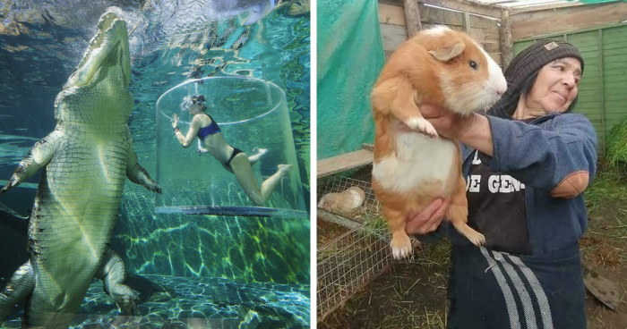 85 Animals People Had No Idea Could Get So Big (New Pics)