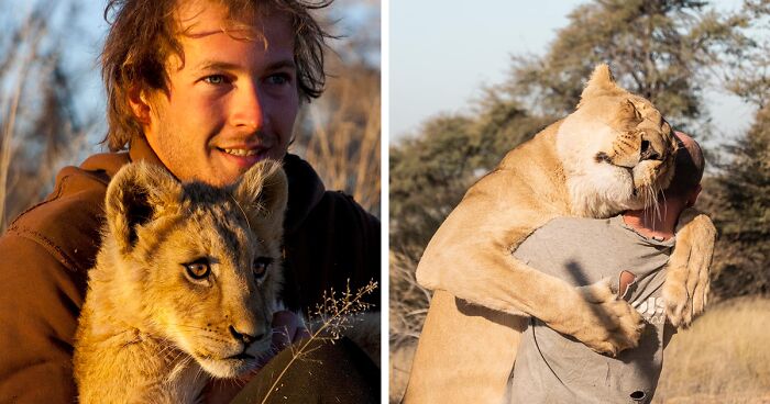 A Beautiful Friendship Between This Caregiver And Lioness That Started 13 Years Ago