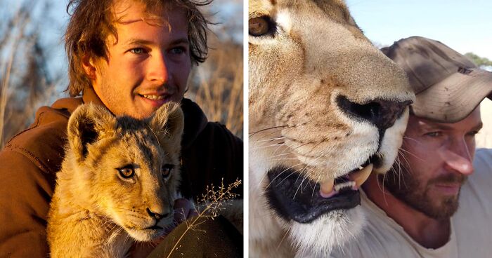 13-Year-Old Bond Between Lioness And Caregiver Results In Heartwarming Affection