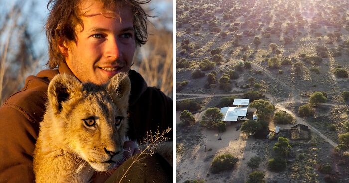 Devoted Caregiver Stays By Lioness's Side For Over A Decade, And Their Bond Is Heartwarming