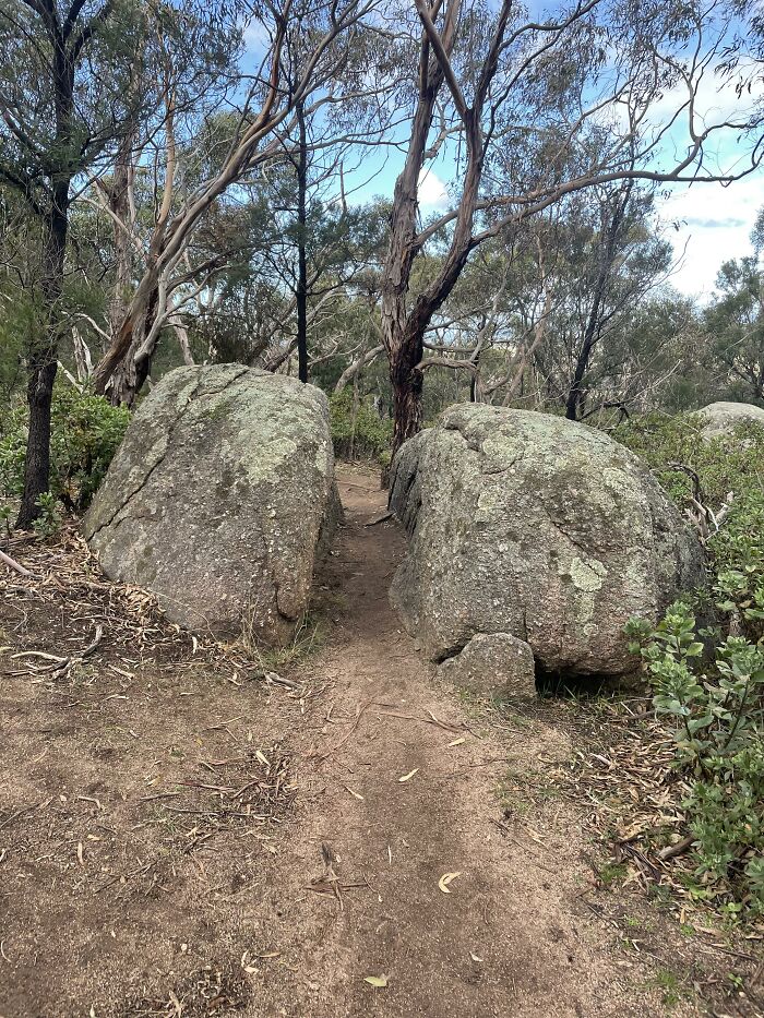 Strongest Desire Path I’ve Ever Seen