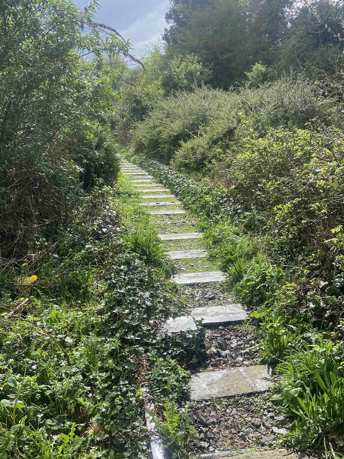 Camino genial sobre una vía abandonada a través del bosque