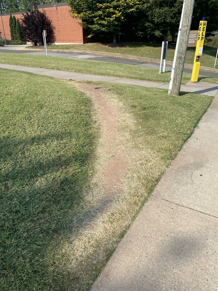 Desire Path At My College Campus, I Use This Bad Boy All The Time 👌