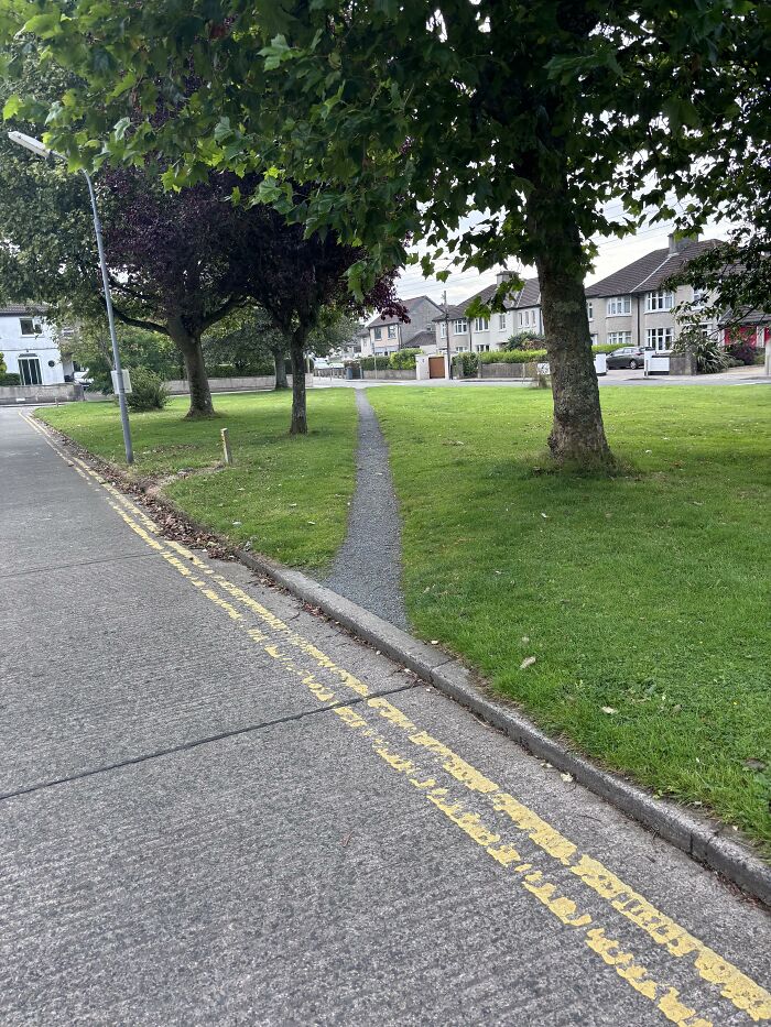 A Desire Path I Came Across While Walking Home From College