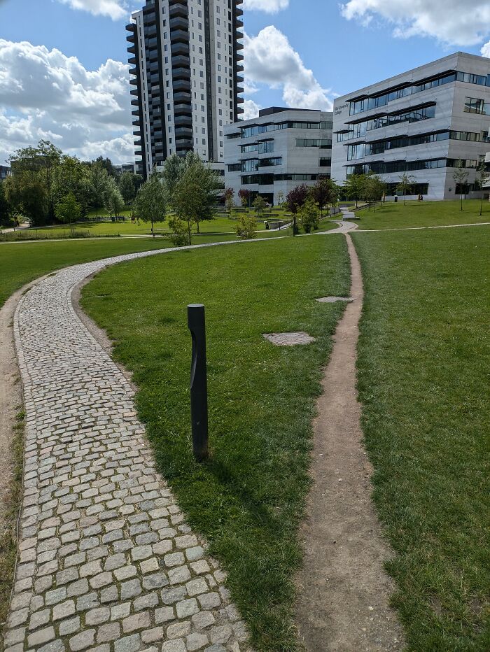 Humans Don't Like The Nice Windy Path