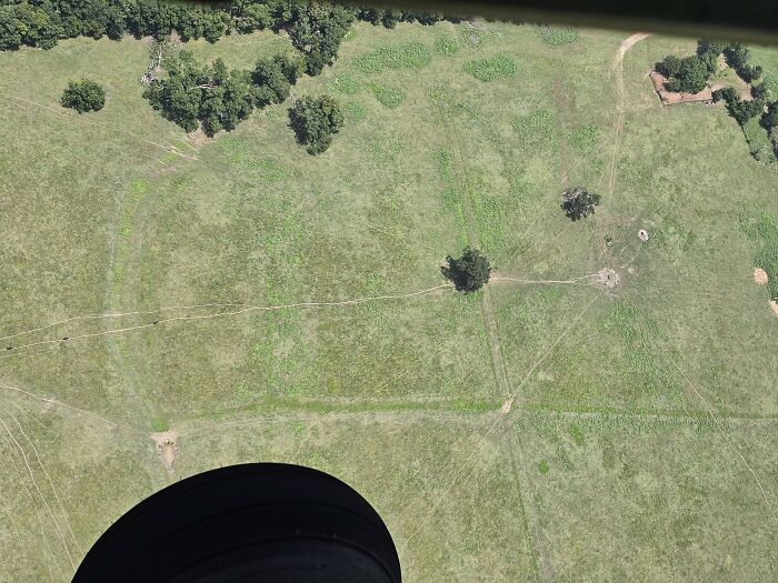 As It Turns Out, Cows Have Desire Paths, Too! The Black Dots On The Left Of The Picture Are The Cows. Taken From A Low Flying Aircraft