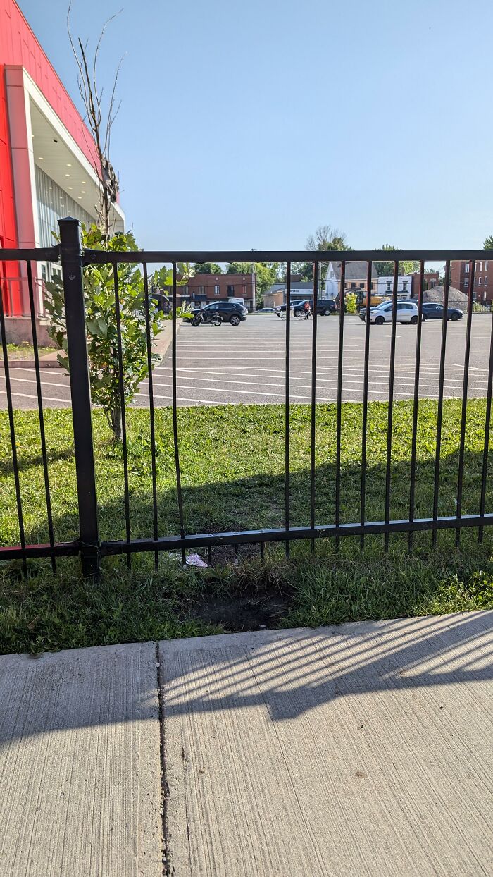 Desire Path Through Fence