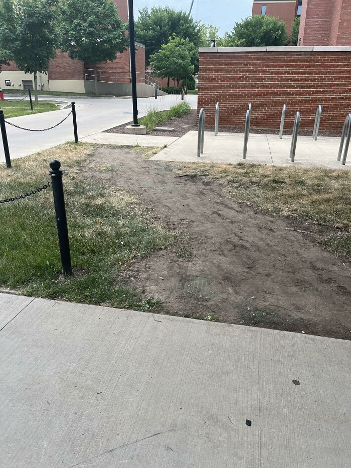 Osu Desire Path