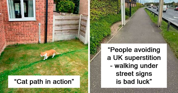 This Online Group Posts Pics Of Cute Wild Paths That Humans And Animals Prefer (80 New Pics)