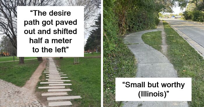 This Group Is Dedicated To “Desire Paths” People Create, Here Are The 80 Most Interesting Ones (New Pics)