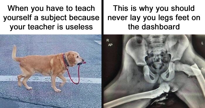 73 Funny Memes And Posts About Medical Student Life That Might Hit Close To Home