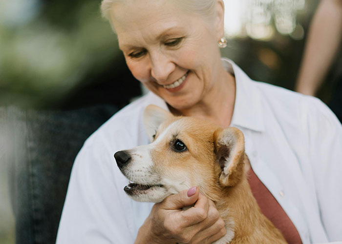 “The One Boundary We Had”: MIL Fails To Keep Her Dog Downstairs, DIL Ends Up In A Wheelchair