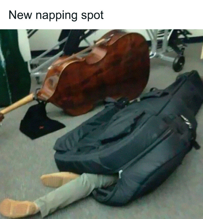 30 Hilarious Music Memes To Soothe Your Inner Performer - 55