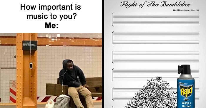 127 Hilarious Music Memes To Soothe Your Inner Performer