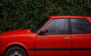 Neighbor Deals With Teen Who Uses Their Driveway, Now He Has To Pay Up For Hedge He Ruined