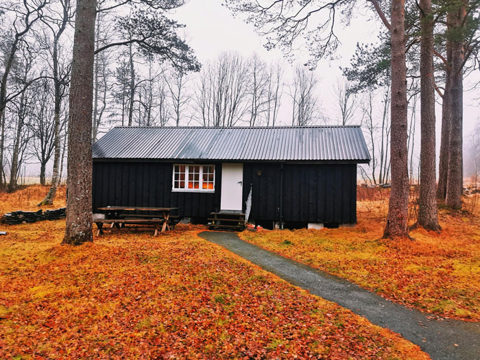 Guy Turns To Web For Legal Advice After 100% Of Neighbor’s House Is Built On His Property