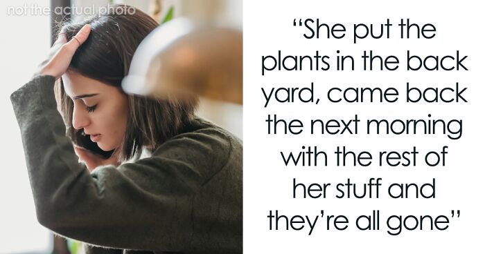 “We Called The Police”: Newcomer Discovers Her Bench And Plants Displayed In Neighbors’ Yard