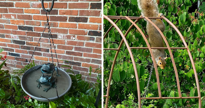 20 Of The Most Bought Garden Items That Pandas Can’t Get Enough Of