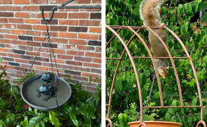 20 Of The Most Bought Garden Items That Pandas Can’t Get Enough Of