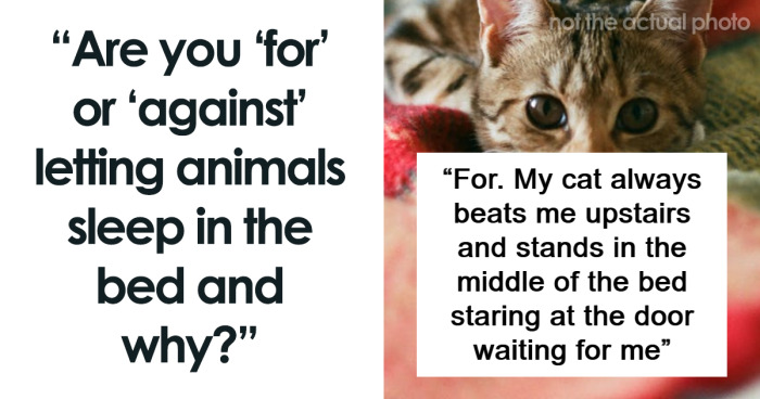 79 People Explain Why They Are Pro Or Against Pets In Their Beds