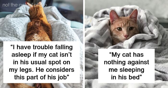 79 Pet Owners Open Up About Whether They Let Their Floofs Sleep In Bed With Them