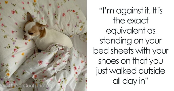 “My Dog Lets Me Sleep In His Bed”: 79 People Debate If It’s Okay To Let Pets Sleep In Your Bed