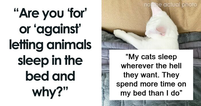 “Are You For Or Against?”: 79 People Debate Whether Pets Should Sleep In Your Bed