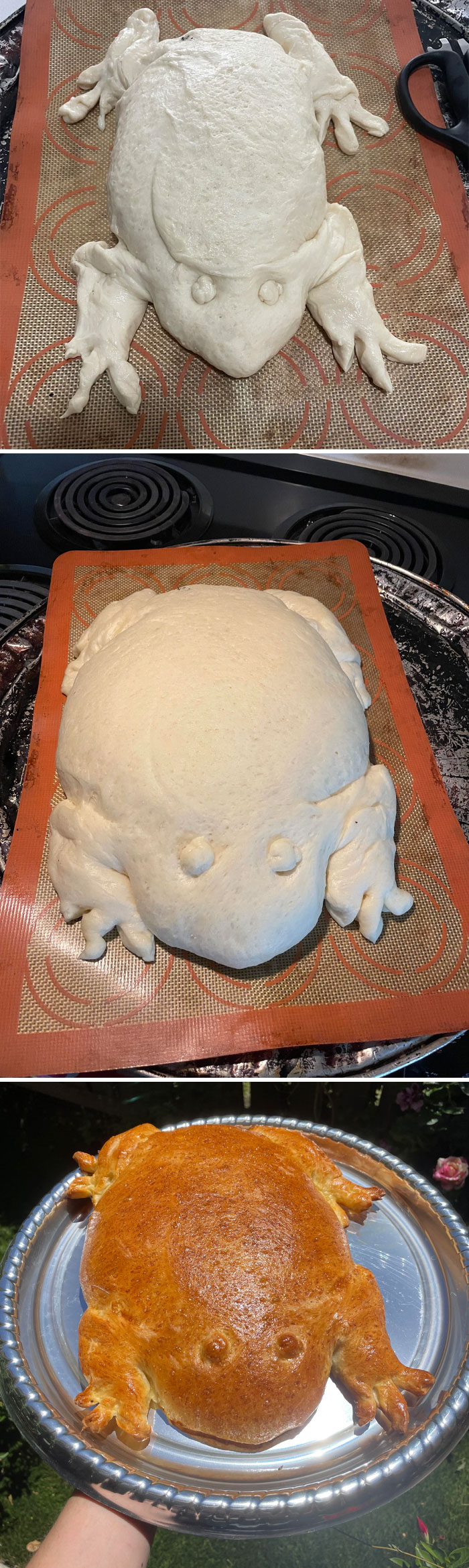 I Present To You, My Toad Bread