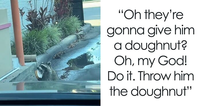 People Online Are Chuckling At This Raccoon Who Comes To Pick Up His Order At Dunkin' Donuts