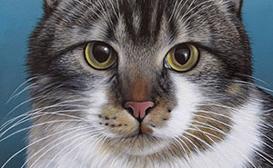 Italian Artist Roberto Rizzo Brings Pets To Life In 26 Realistic Portraits