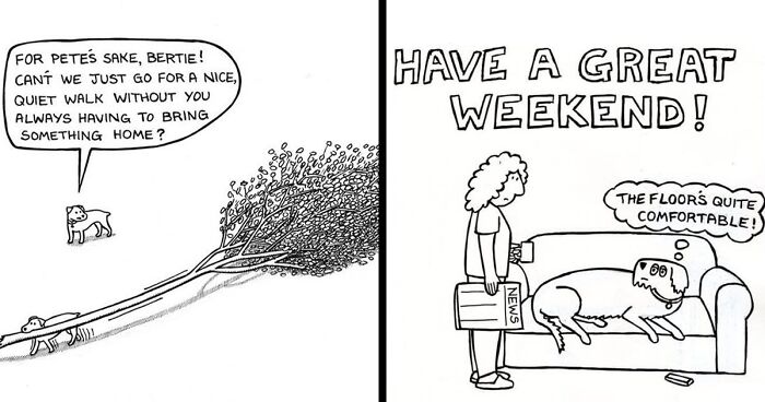 40 New Comics From “Off The Leash” That Every Dog Owner Will Relate To