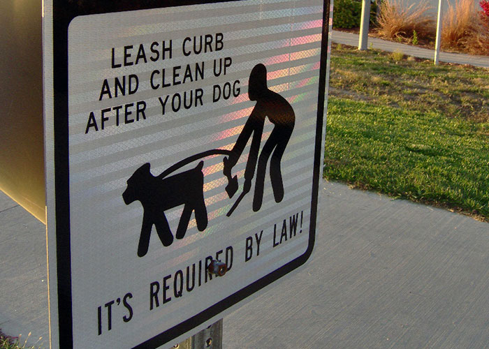 Woman Enjoys Neighbor’s Cursing Tirade As They Find Dog Poop That Once Was In The Yard Next Door