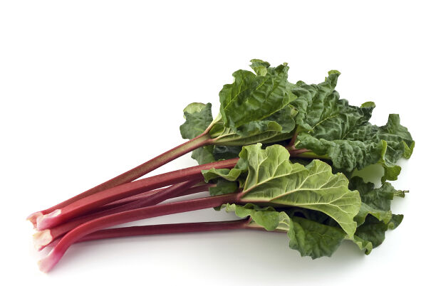 rhubarb-66e788c148f70.jpg