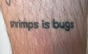 “Shrimps Is Bugs”: How Viral Tattoo Crawled Into Popular Culture