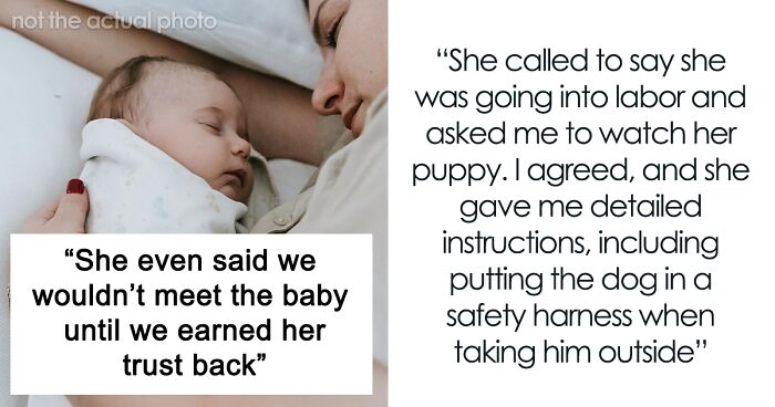 Birth Of Newborn Overshadowed By Perfectionistic Rage After Sister ‘Fails’ To Look After Puppy