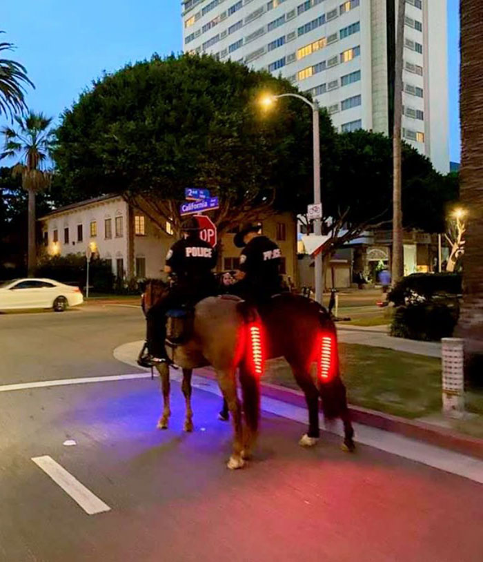 Luces para la cola de los caballos