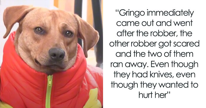 Stray Dog Gringo Gets A Job As A Gas Station Guard After Chasing Away Robbers