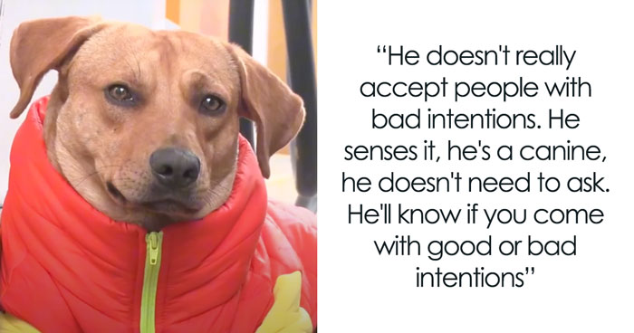 Stray Dog Becomes Employed At A Gas Station After Chasing Off Robbers