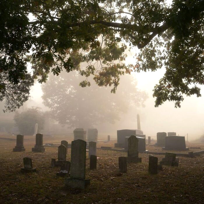 Fog At The Cemetery