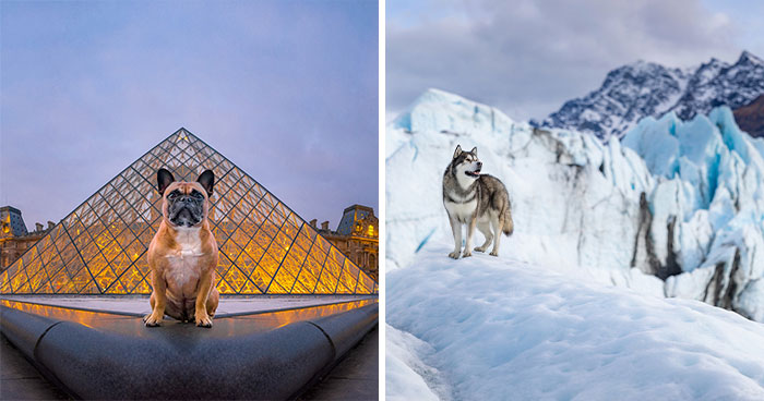 “Dogs Of The World’: My 10-Year Journey To Photograph 60+ Breeds In Their Native Lands (12 Pics)